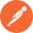Postman icon